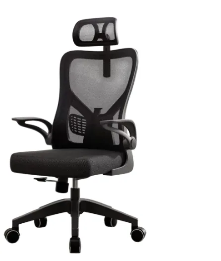 Boreas — Ergonomic Office Chair with Headrest
